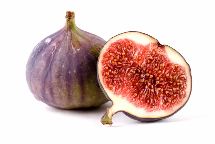 Fig Tree Growers Network